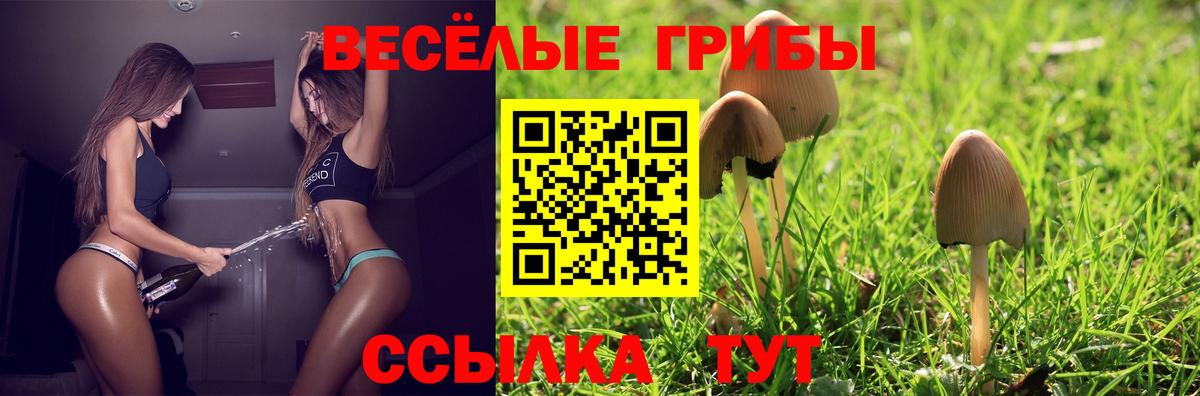 Галлюциногенные грибы Psilocybine cubensis Владимир
